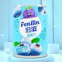 汾滨蓝莓汁易拉罐装复合果汁饮料招商245ml