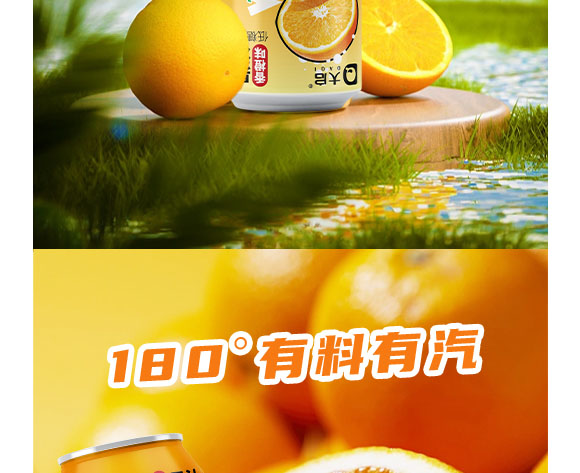 广东大启食品有限公司--产品画册香橙_05