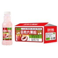 浩明元汽蜂蜜荔枝多肉大果粒复合果汁饮料箱装招商420ml