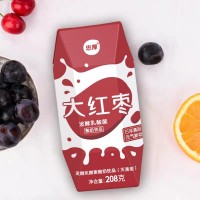 忠厚乳业大红枣发酵乳酸菌酸奶饮品208g